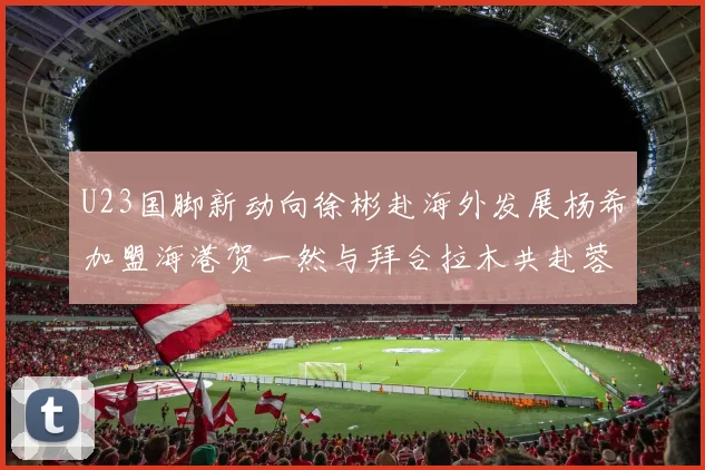 U23国脚新动向徐彬赴海外发展杨希加盟海港贺一然与拜合拉木共赴蓉城