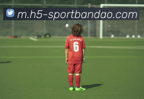 半岛体育服务体系