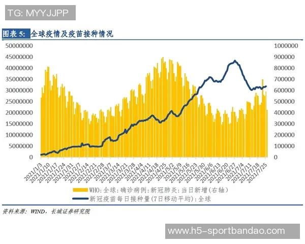 截止日交易点评汇总及市场动态分析与投资策略建议